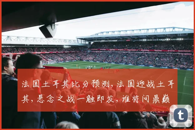 法国土耳其比分预测,法国迎战土耳其,悬念之战一触即发,谁将问鼎巅峰